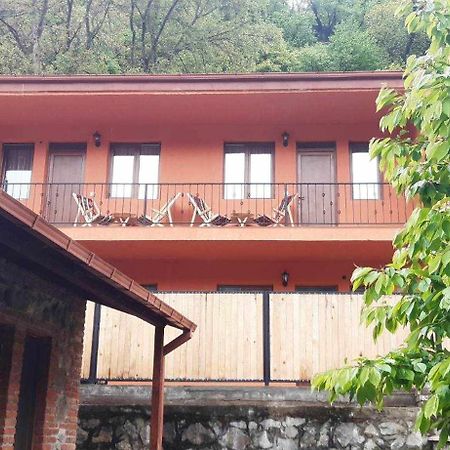 Guest House Borjomula Боржомі Екстер'єр фото